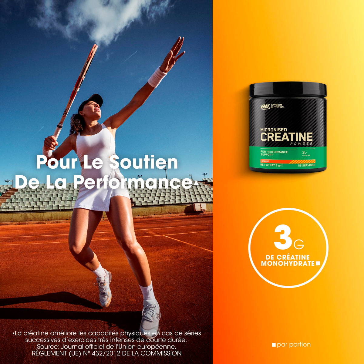 Optimum Nutrition Micronised Creatine Monohydrate en Poudre, 634g